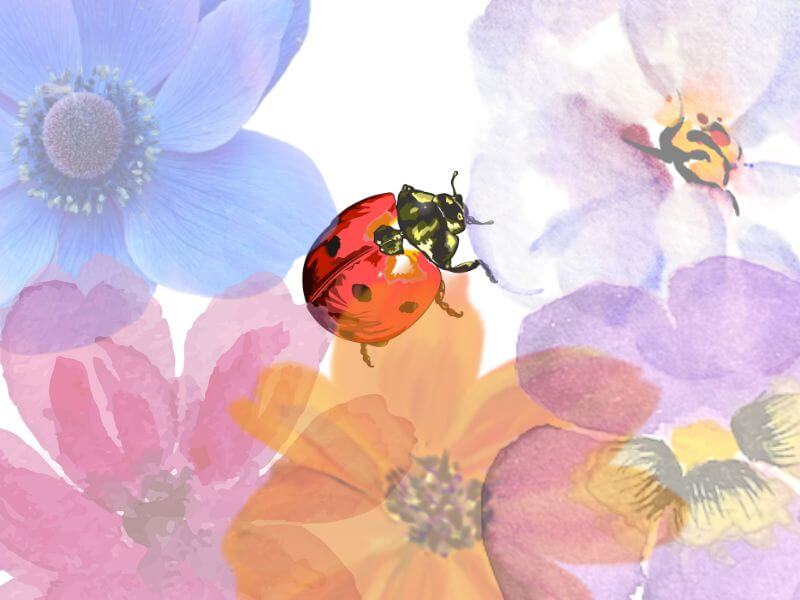  INFP 20代 30代 女性 人間関係 悩み ストレス 心理学