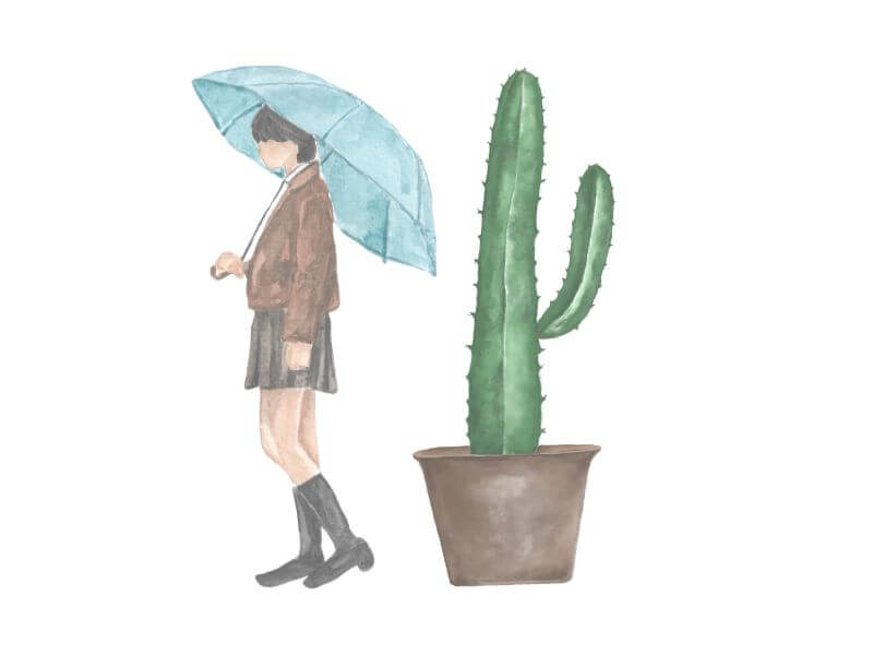 INFP 20代 30代 女性 人間関係 悩み ストレス 心理学 恋愛 彼氏 好きな人 片思い