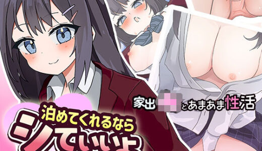 【無料で読める？】泊めてくれるならシていいよ 【なうSoS】