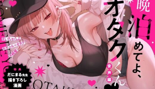 【無料で読める？】一晩泊めてよ、オタクくん 音声編 【いちのや】