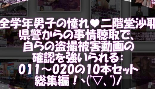 【無料で読める？】【△500●500】学業成績学年一位の二階堂沙耶・県警からの事情聴取で、自らの盗撮被害動画の確認を強いられる:Vol.R011-020までの10本セット総集編！ 【Libido-Labo】