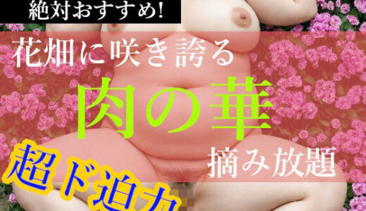 【無料で読める？】ぽっちゃり娘【肉の華】 【幽霊倶楽部】