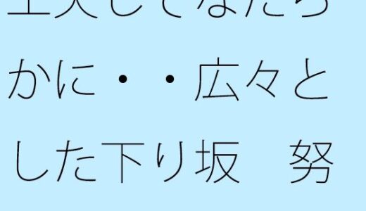 【無料で読める？】工夫してなだらかに・・広々とした下り坂  努力の割にははるか向こうの急角度が 【サマールンルン】
