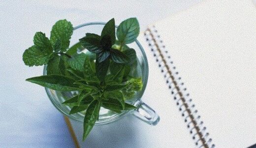 【無料で読める？】おむつ現役JK作家の最期 【リョナの監獄】