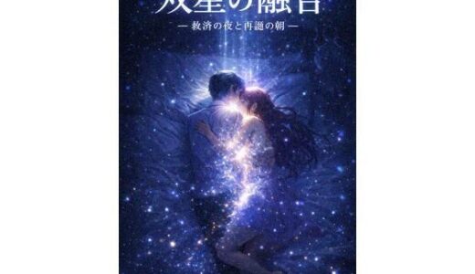 【無料で読める？】双星の融合 ― 救済の夜と再誕の朝 ― 【感情の保管庫】