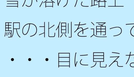 【無料で読める？】雪が溶けた路上  駅の北側を通って・・・・目に見えないエンタ競争にあっぷあっぷしながら 【サマールンルン】