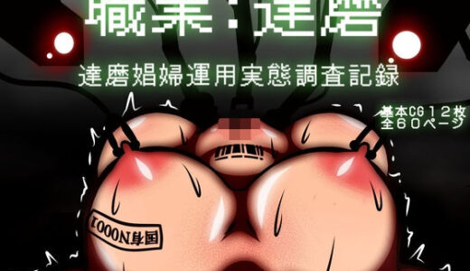 【無料で読める？】職業:達磨 達磨娼婦運用実態調査記録 【アキ博士の研究所】