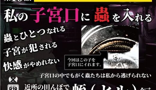 【無料で読める？】私の子宮口の中に蟲を入れる 第10話 近所の田んぼで見つけた蛭（ヒル）編 【シングルママの日常】