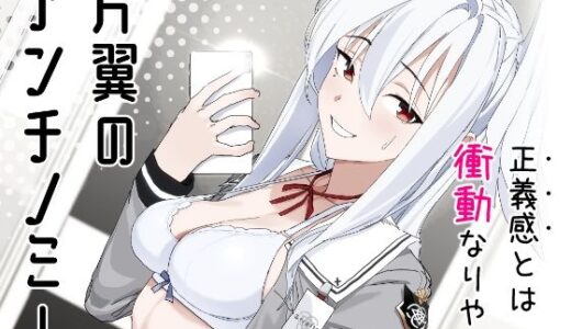 【無料で読める？】片翼のアンチノミー 【ヨリドリミドリ】