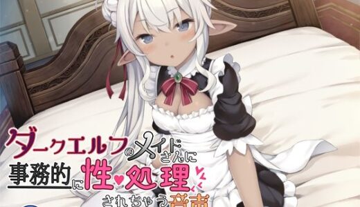 【無料で読める？】ダークエルフのメイドさんに事務的に性処理されちゃう音声 ばいのーらる 【なつのれん】