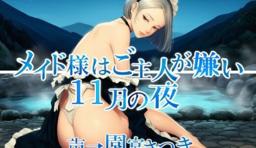 【無料で読める？】メイド様はご主人が嫌い  11月の夜 【近未来のふわふわ】