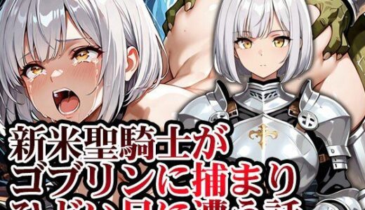 【無料で読める？】新米聖騎士ゴブリンに捕まりメス堕ち 【GRADUAL】
