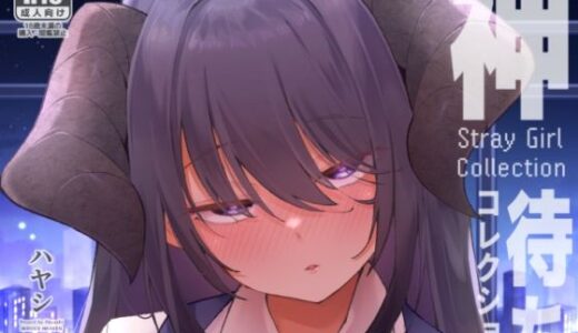 【無料で読める？】神待コレクション 【サービスヘブン】