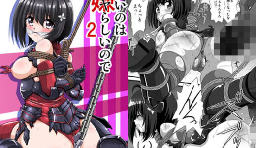 【無料で読める？】痛いのはイヤらしいので2 【サーティセイバーストリート】