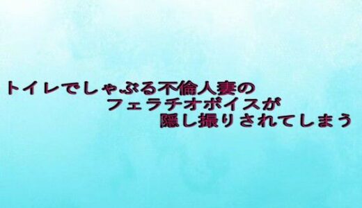 【無料で読める？】トイレでしゃぶる不倫人妻のフェラチオボイスが隠し撮りされてしまう 【背徳の恥辱放送部】