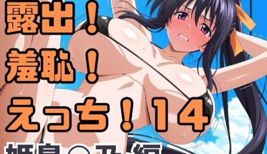 【無料で読める？】露出！羞恥！えっち！二次創作イラスト集14［姫島○乃］ 【ギリギリあんだーどっぐ】