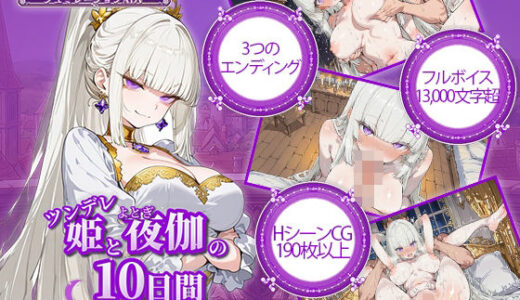 【無料で読める？】ツンデレ姫と夜伽の10日間 〜異世界で子作り命じられました〜 【電脳ヒロインズ】
