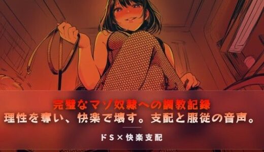 【無料で読める？】完璧なマゾ奴●への調教記録 【夜の息抜き】