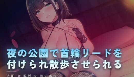【無料で読める？】夜の公園で首輪リードを付けられ散歩させられる 【夜の息抜き】