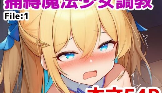 【無料で読める？】捕縛魔法少女調教 File:1 【saltワークス】