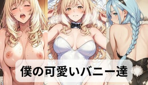 【無料で読める？】僕の可愛いバニーさん達【主観・正常位・後背位・騎乗位】 【Yorunokz】