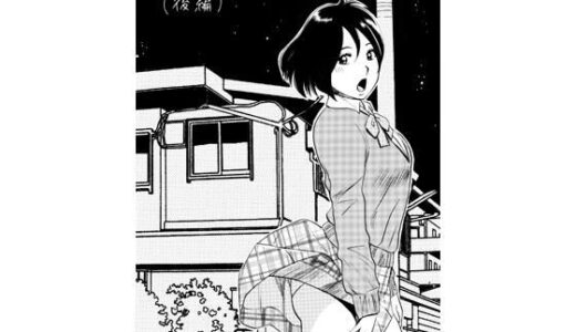 【無料で読める？】お姉ちゃんの日記帳（後編） 【ナンネット】