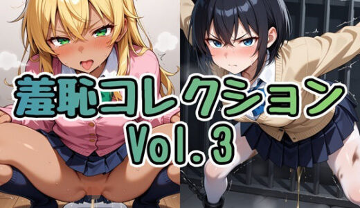【無料で読める？】羞恥コレクション Vol.3 【Socks Fetish Gallery】