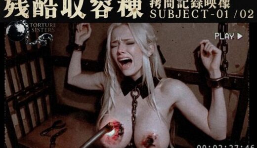 【無料で読める？】【被験者 - 残酷収容棟】異端記録 - 尋問 I -  ARCHIVE FRAGMENT 未整理映像資料 【BEELZEBUB】