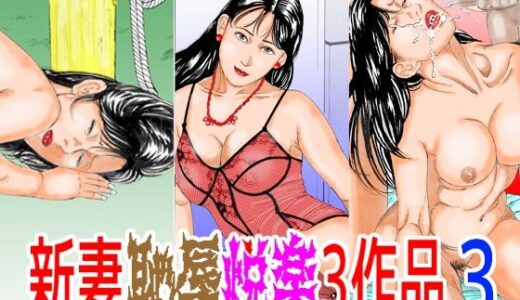 【無料で読める？】新妻 恥辱悦楽3作品3 【角雨和八（つのあめかずや）】