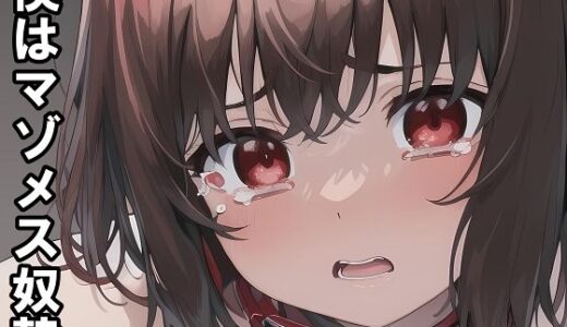 【無料で読める？】【小説＋おまけイラスト7枚】僕はマゾメス奴●I 【melt】