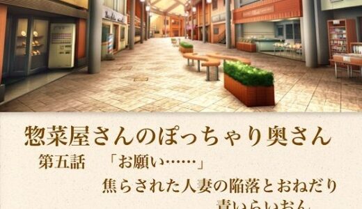 【無料で読める？】【官能小説】惣菜屋さんのぽっちゃり奥さん  第五話  「お願い……」焦らされた人妻の陥落とおねだり 【青いらいおん】
