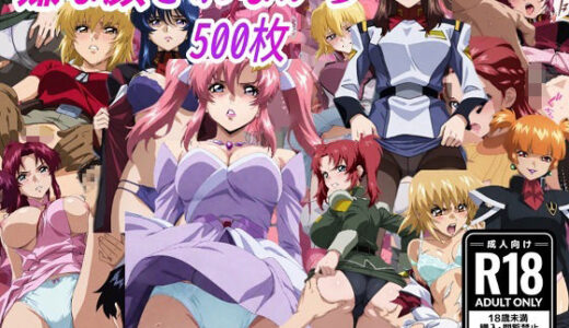 【無料で読める？】（ガン●ムSE●D）嫌な顔されながらおパンツ見せて中出しセックスで孕ませたい 【嫌な顔されながら】