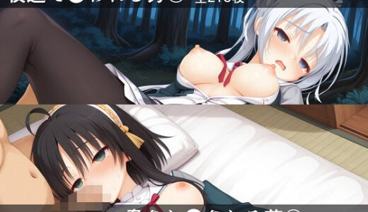 【無料で読める？】セット【夜道で●われる芳○】＋【脅されて●される茉○】 【sargi】