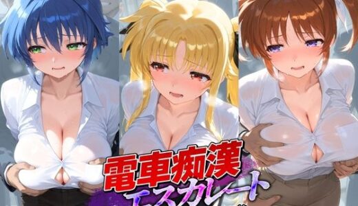 【無料で読める？】電車痴●エスカレート 魔〇少女リリカルなのは 【牝堕ち工房】