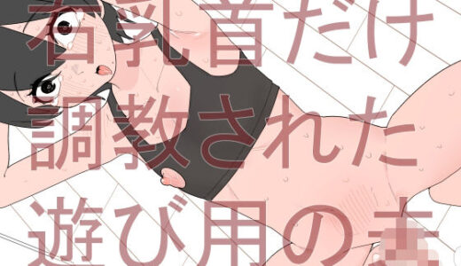【無料で読める？】右乳首だけ調教された遊び用の夫 【蜂蜂蜂】
